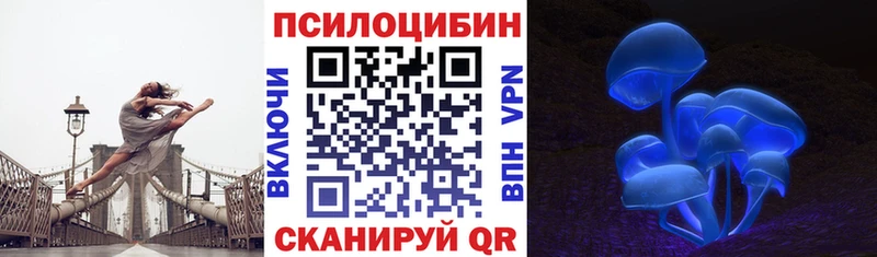 MEGA как войти  мориарти клад  Псилоцибиновые грибы Cubensis  Спасск-Рязанский 